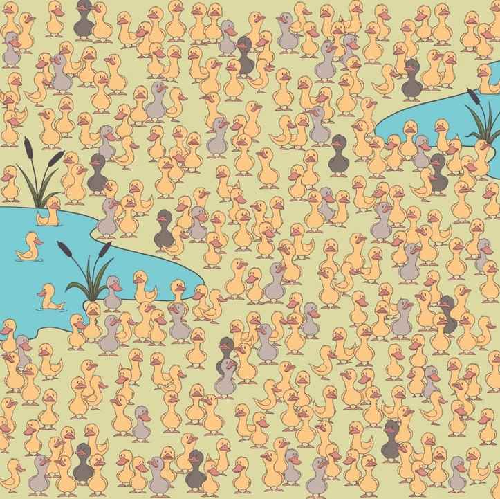 Mysteriet og det vigtigste