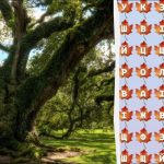 Kun 2 procent af alle genier kan finde ordet ‘træ’