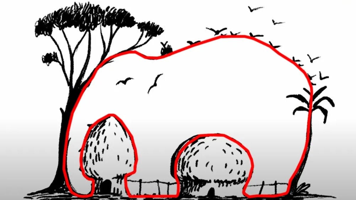 Løsning på den optiske illusion