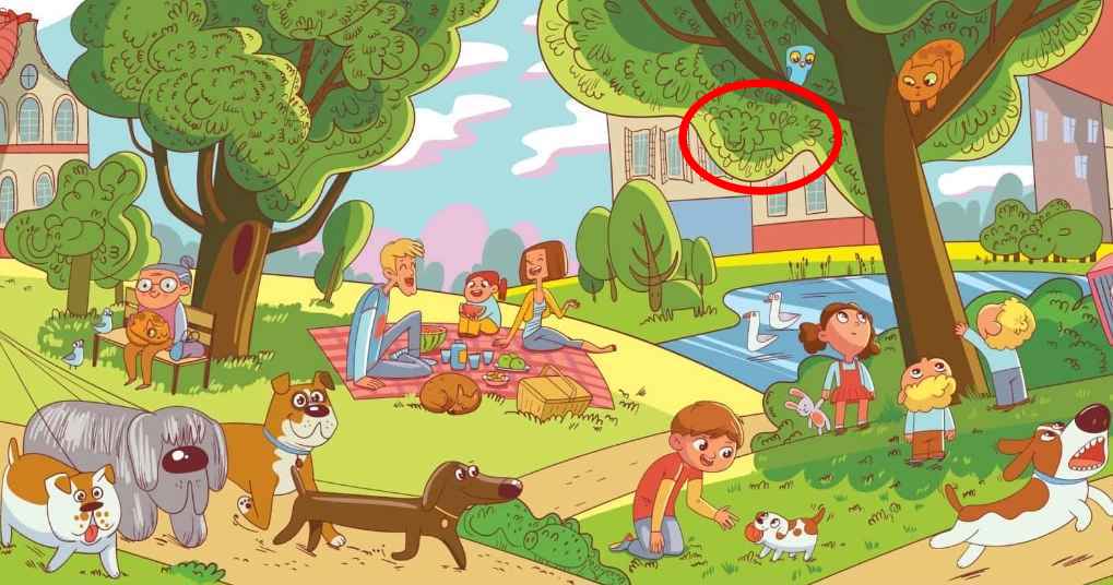 Dette er en opgave, som kun få mennesker kan klare: Du skal finde løven i parken på 6 sekunder.