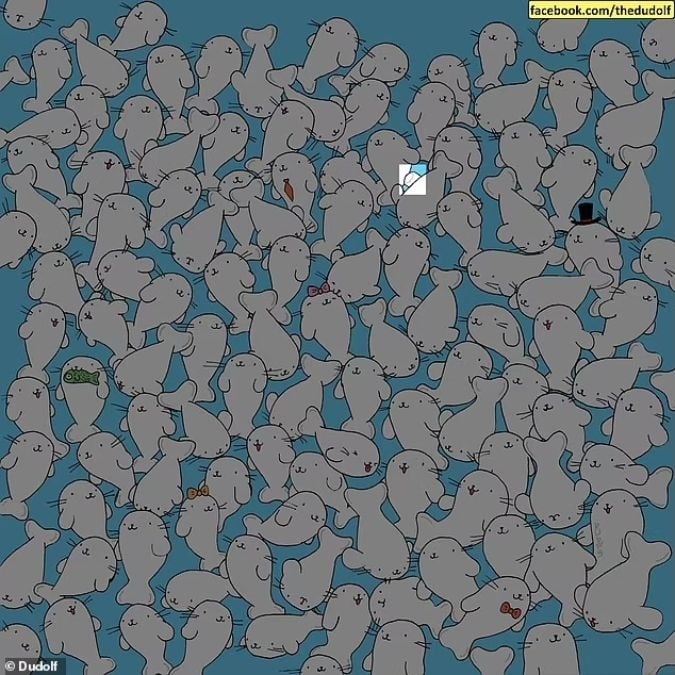 Et puslespil for folk med et skarpt syn: Find skumfidusen blandt sælerne på 11 sekunder