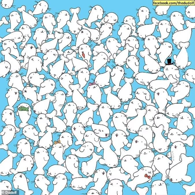 Et puslespil for folk med et skarpt syn: Find skumfidusen blandt sælerne på 11 sekunder.